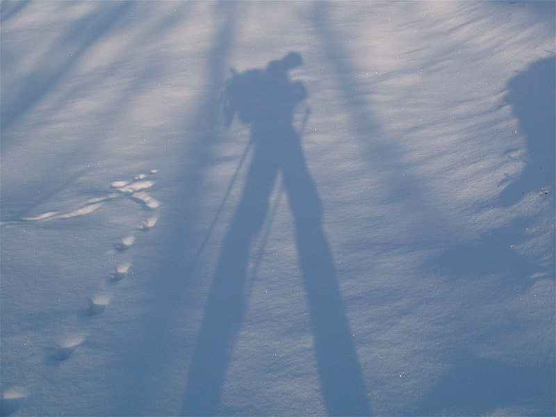 Selbstportrait mit langem Schatten